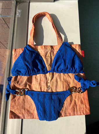 ビキニ着ちゃったバッグ 