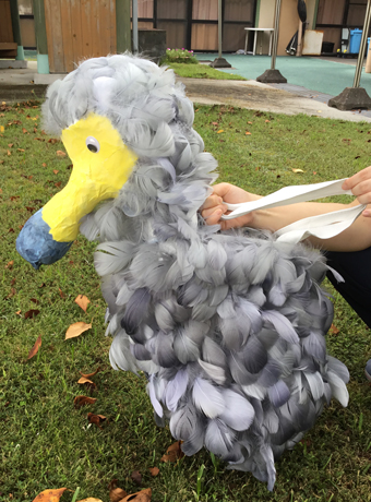 ドードでドゥでしょう?